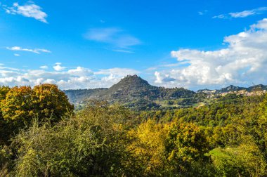 Salto del Mir, Katalonya, İspanya 'da güneş ışığı olan güzel yeşil ormanlardaki ağaçlar 