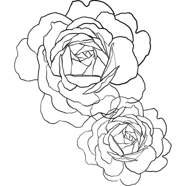Ręcznie Rysowane Kwiaty Róży Zarys Ikona Wysokiej Jakości Zdjęcie — Zdjęcie stockowe