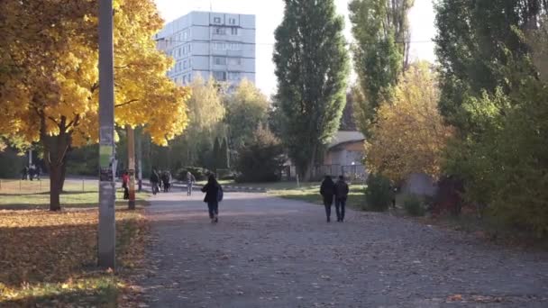 평화로운 도시에서 사람들은 걸어갑니다 우크라이나 하르키우 고품질 — 비디오