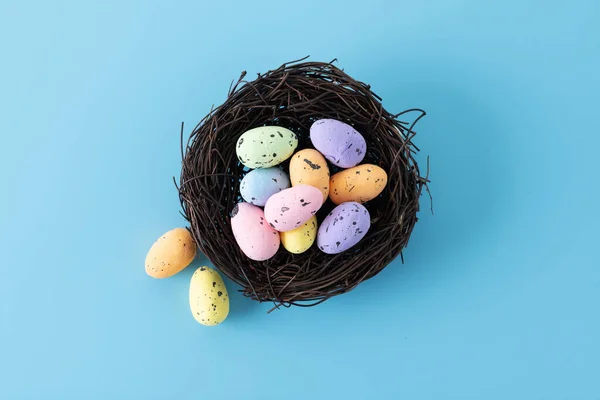 Stock image Colorful Easter eggs inside a nest on blue background