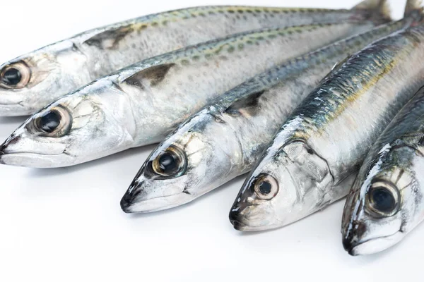 Rauwe Makreel Vissen Geïsoleerd Witte Achtergrond — Stockfoto