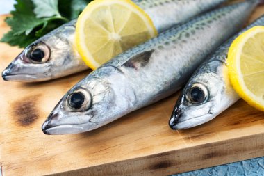 Mavi arka planda çiğ uskumru balığı tuzu. Kapat.