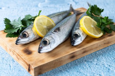 Mavi arka planda çiğ uskumru balığı tuzu