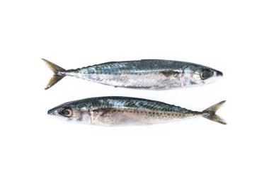 Ham uskumru izole üzerinde beyaz arka plan balık