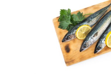 Kesme tahtasındaki çiğ uskumru balığı beyaz arka planda izole edilmiş. Üst Manzara. Boşluğu kopyala