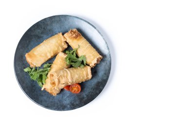 Beyaz arka planda izole edilmiş seramik tabakta çıtır çıtır börek. Üst Manzara. Boşluğu kopyala