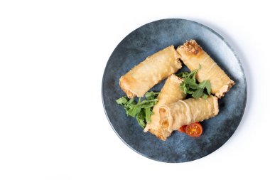 Beyaz arka planda izole edilmiş seramik tabakta çıtır çıtır börek. Üst Manzara. Boşluğu kopyala