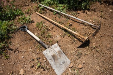Üç bahçe aleti, bir kürek, bir çapa ve bir tırmık yeşil yabani otlarla çevrili kuru topraklarda yatıyor..