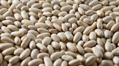 Dönen Beyaz Fasulye arkaplanı