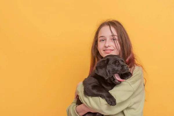 一个拿着黑色拉布拉多猎犬的女孩一个抱着小狗的少女 — 图库照片