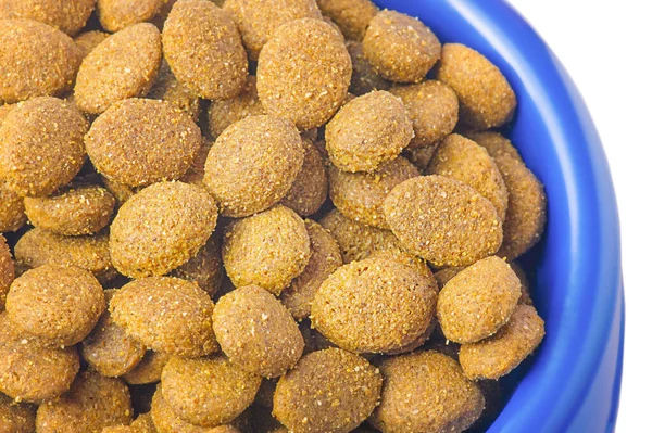 動物のための食品 ペット 青いボウルに猫や犬のためのドライフードコロッケ — ストック写真