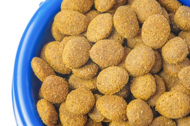 Hayvanlar için yiyecek, hayvanlar için. Mavi kasedeki kedi ve köpekler için kuru yemek kroketleri..