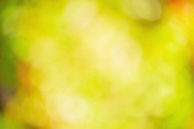 Sonbaharda defocus ışığı. Bulanık arkaplan. Yeşil, sarı ve kırmızı arkaplan..