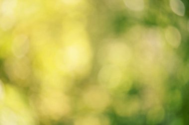 Doğal olarak bulanık yeşil arka plan ve röfleler. Söndürme ışığı yeşil.