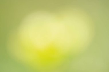 Bokeh doğal yeşil bulanık yapraklar. Soyut yeşil odaklanmamış arkaplan.