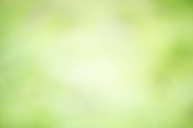 Abstract background defocus light blurred green leaves. Defocused green natural background.