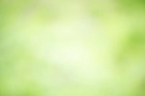 Abstract Background Defocus Light Blurred Green Leaves Defocused Green Natural — Fotografie, imagine de stoc