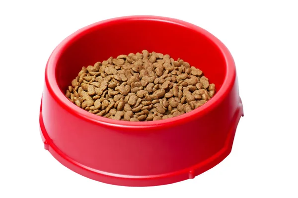 Ausgewogene Ernährung Für Haustiere Trockenfutter Für Hunde Oder Katzen Einer — Stockfoto
