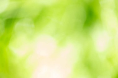 Doğal bokeh. Soyut yeşil bulanık bulanık ışık arkaplanı.
