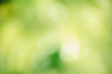 Arka plan olarak ışığı söndür. Bulanık yeşil arkaplan.