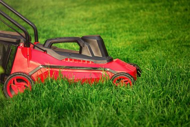 Yeşil çimenlerin üzerinde kırmızı ve siyah bir çim biçme makinesi.