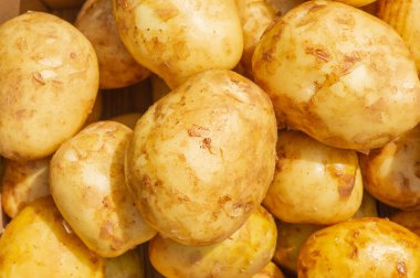 Arka plan olarak güneş ışığında taze patatesler.
