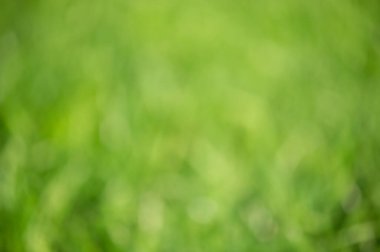 Yeşil defocus ışığı arka planı. Doğal yanma ışığı, bulanık çimenler.