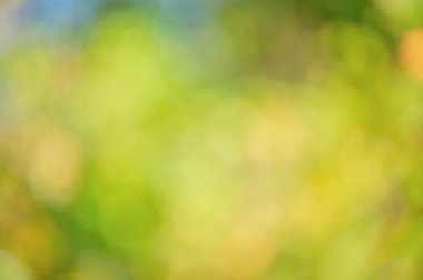 Yeşil, mavi ve sarı renklerin doğal defocus ışığı. Bokeh.