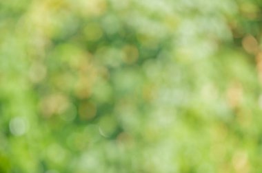 Doğal yeşil arka plan sönümleme ışığı. Bokeh yeşil ve sarı