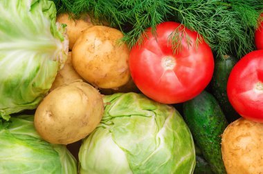 Sebzeler yakın plan lahana, domates, patates, salatalık ve yeşil dereotu. Sağlıklı yemek, diyet