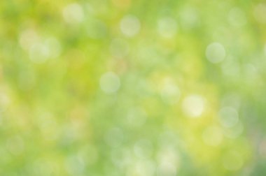 Bulanık yeşil doğa arkaplanı