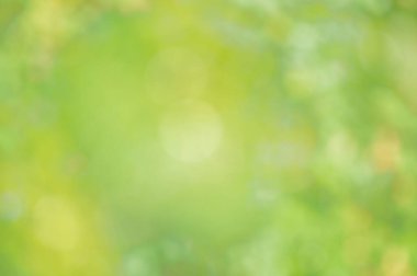 Açık yeşil defocus. Bulanık yapraklar, bokeh