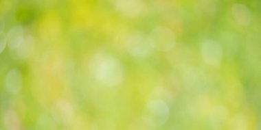 Bulanık yaprakların soyut yeşil arka planı. Yeşilliğin arkaplanındaki ışıkları söndür