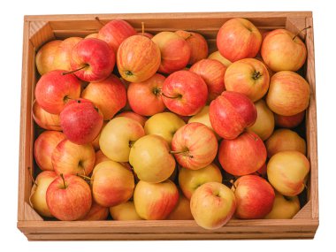 Beyaz üzerinde kırmızı ve sarı elmalar olan tahta kutu.