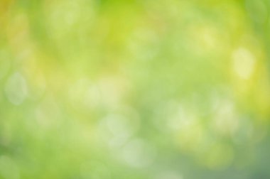 Odaklanmış bitkiler. Doğal yeşil arka plan sönümleme ışığı