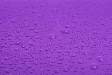 Su damlalı mor plastik makro fotoğraf