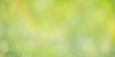 Yeşil arkaplan ve sarı arkaplan. Soyut doğal arkaplan