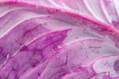 Arka plan olarak mor lahana makro fotoğraf. Lahana sebzesi