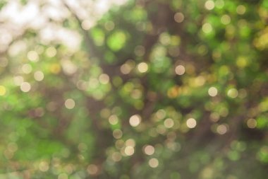 Fosforlu ışık doğal arka plan. Bokeh, bulanık defocus ağacı