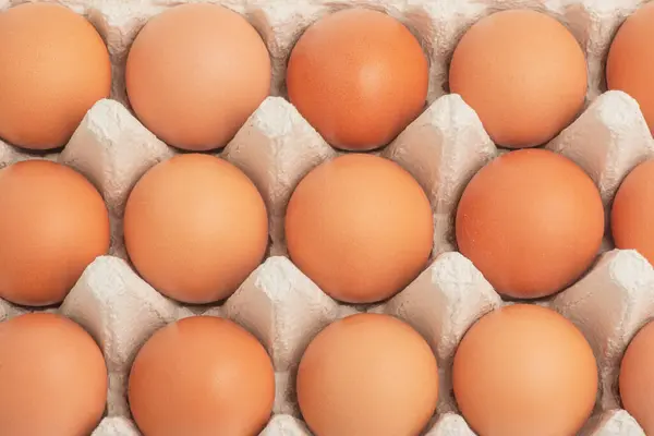 Arkaplan olarak karton kutuda yumurtalar