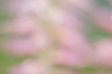 Yeşil ve pembe renklerde çözünmüş soyut arkaplan