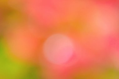 Kırmızı ve yeşil arka plandaki defocus ışığı. Bulanık böğürtlen bitkisi. Doğal bokeh