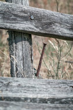 Tahta bir bankta çok uzun paslı bir çivi