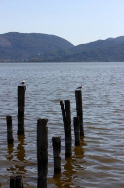 Cennet Katliamı Gölü 'nde yangın