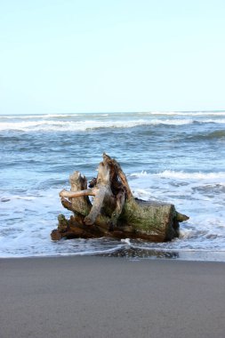 Torre del lago, viareggio, Toskana semaları