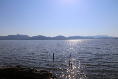 Massaciuccoli Gölü, gün ışığında