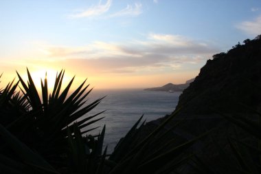 Madeira Adası 'nda farklı jeolojik oluşum 