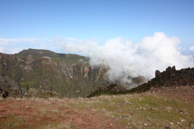 Madeira Adası 'nda farklı jeolojik oluşum 