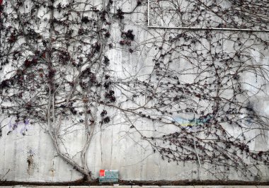 Hamburg Limanı 'nda Farklı Yerler