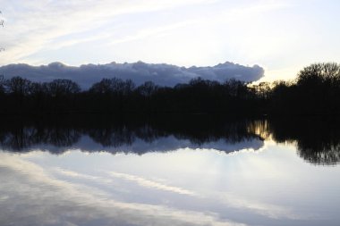 Doğal Rezerv Boberger Niederung, Hamburg, Almanya